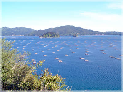 山田湾