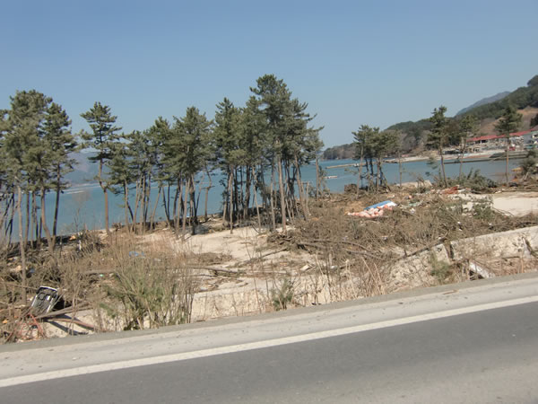 浦の浜海水浴場（山田町船越）