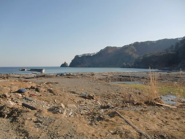 小谷鳥海岸（山田町船越）