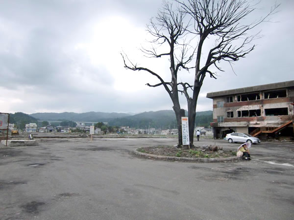 陸中山田駅（山田町川向町）