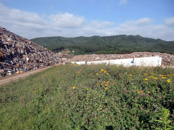 鯨と海の科学館前（山田町船越瓦礫集積所）