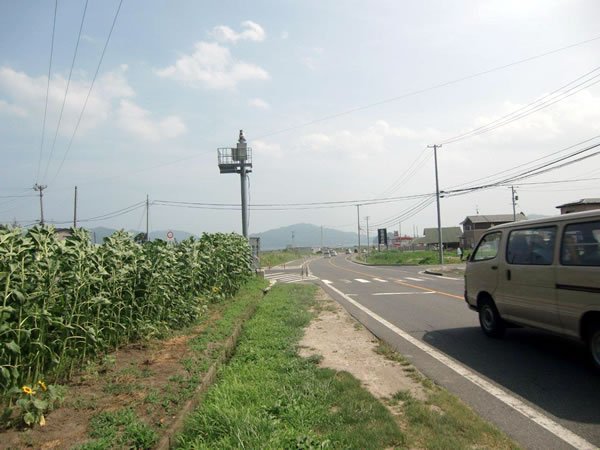 大沢小学校入口（山田町大沢）