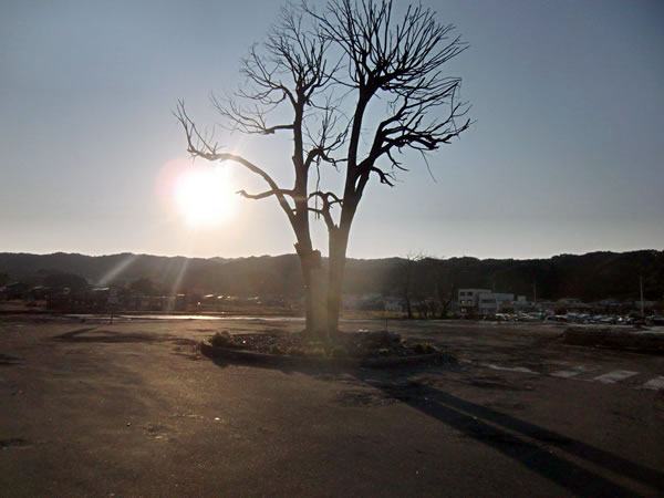 陸中山田駅（山田町川向町）