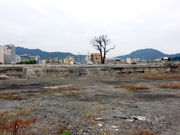 陸中山田駅裏（山田町川向町）