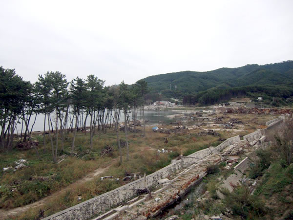 浦の浜海水浴場（山田町船越）