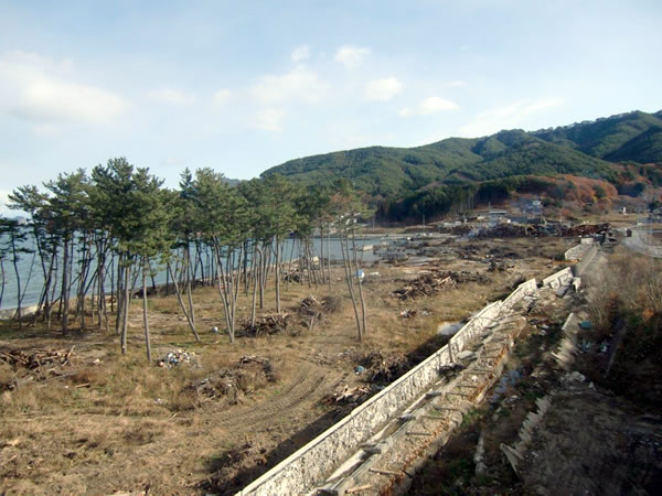 浦の浜海水浴場（山田町船越）