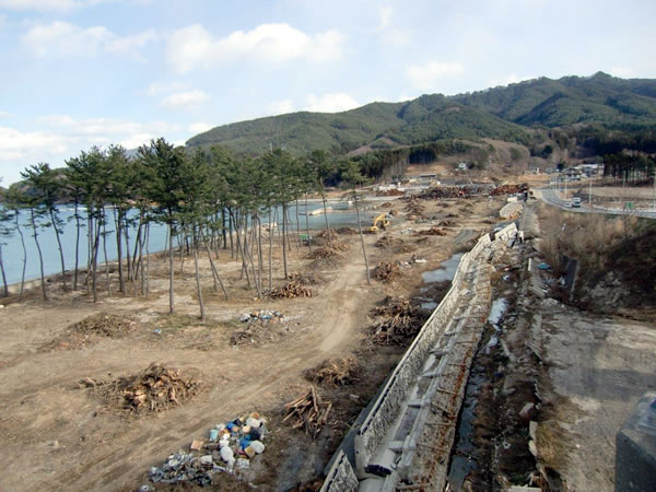 浦の浜海水浴場（山田町船越）