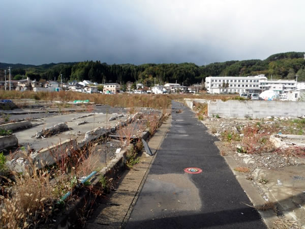 八幡町　岩間魚店より