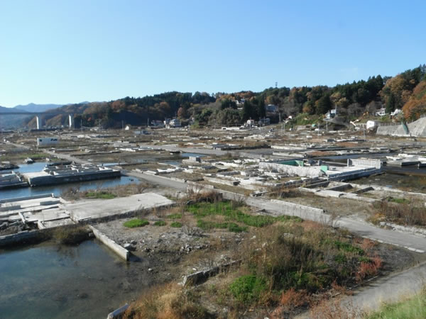 織笠大橋山田側より