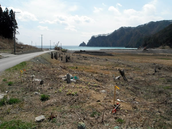 小谷鳥海岸を臨む