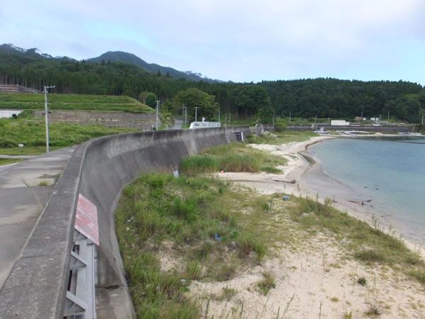 前須賀 堤防内側