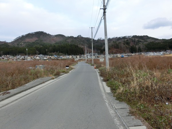 田の浜　堤防側より