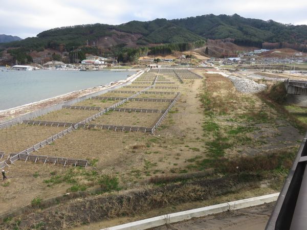 浦の浜