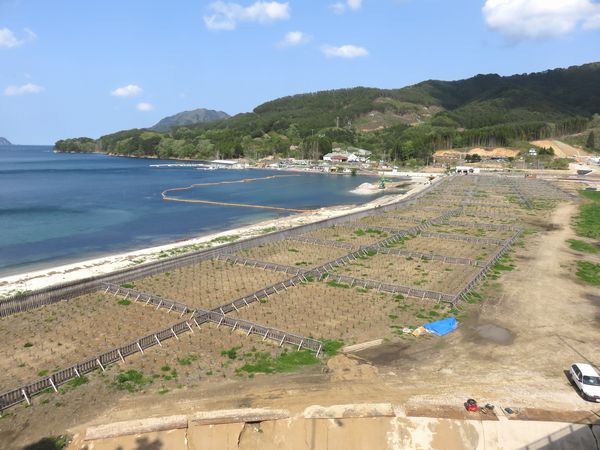 浦の浜海岸