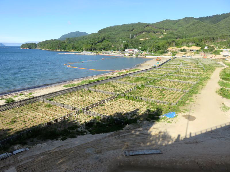 浦の浜海岸