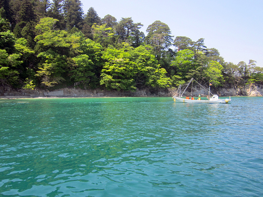 山田湾クルーズコース