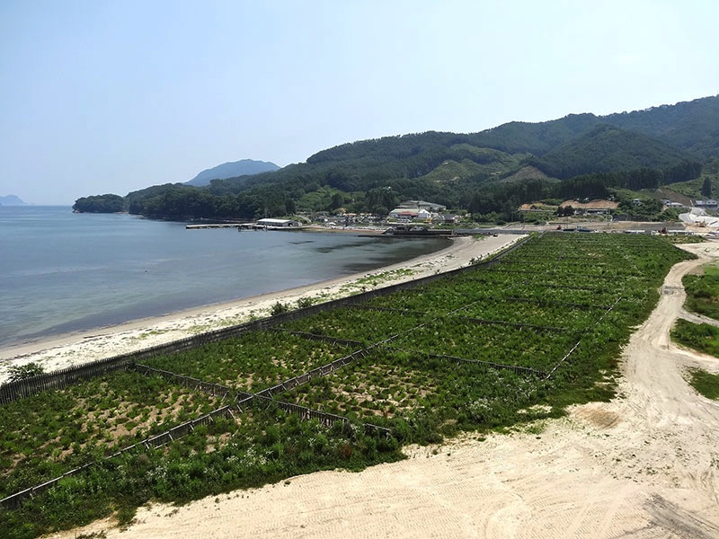 浦の浜