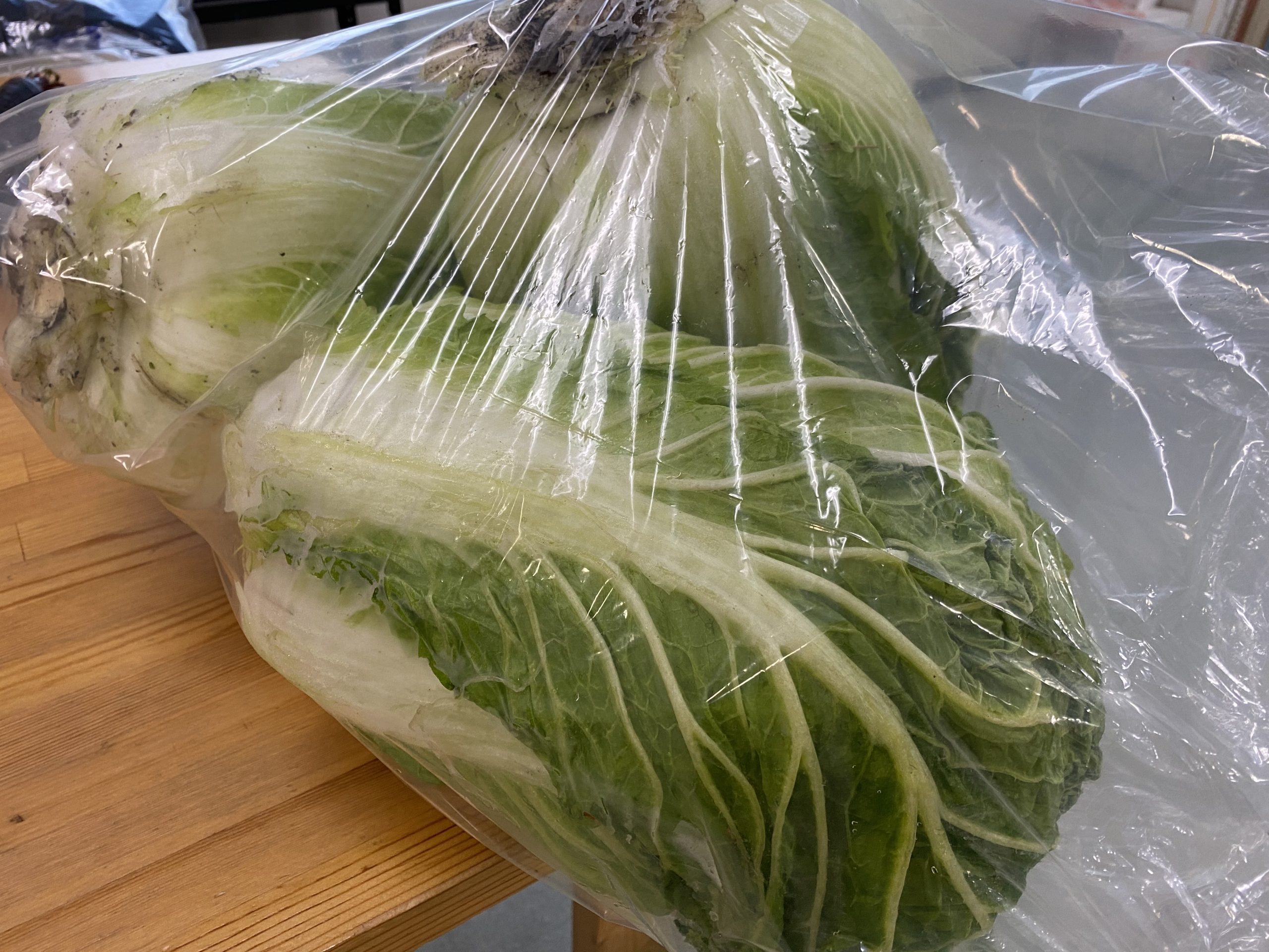 いわき農園の秋の野菜収穫体験