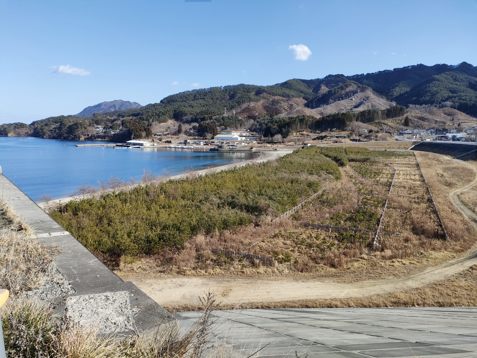 浦の浜