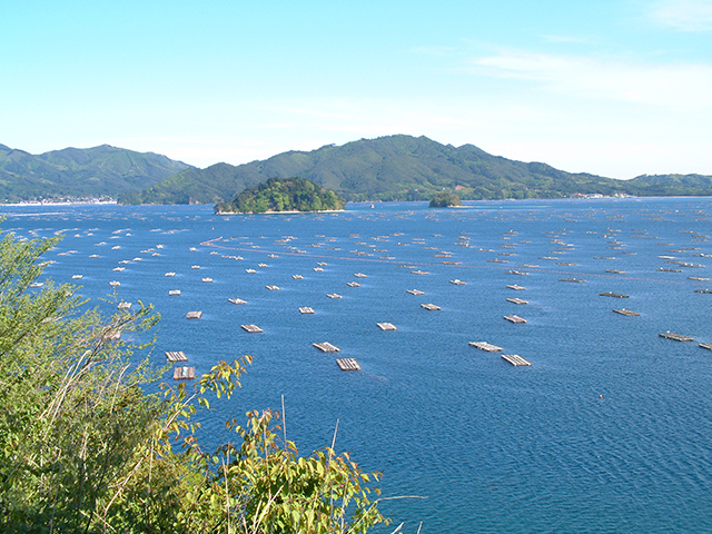 山田湾