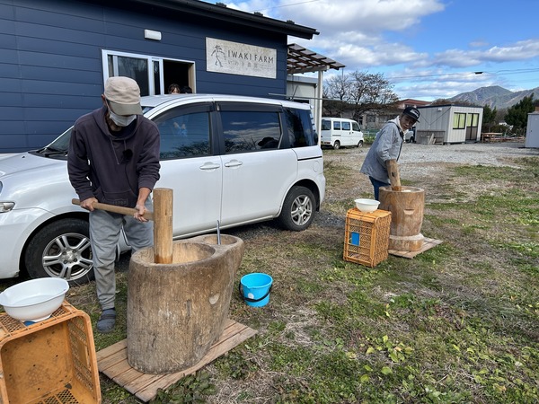 いわき農園　冬野菜の収穫体験