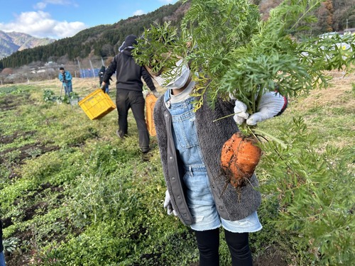 いわき農園　冬野菜の収穫体験